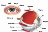 Cách phòng tránh đau mắt đỏ